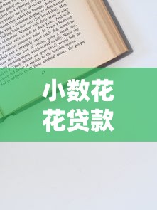 小数花花贷款平台怎么样？正规靠谱吗？申请流程及注意事项