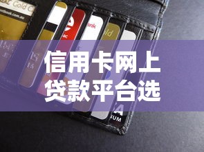 信用卡网上贷款平台选择指南：正规渠道与避坑技巧