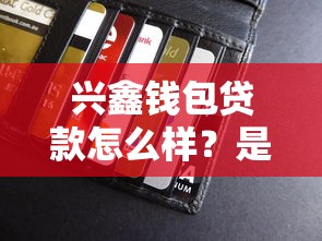 兴鑫钱包贷款怎么样？是正规平台吗？资质、利息、申请全解析