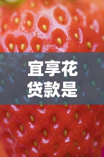 宜享花贷款是哪个平台的？平台背景、产品特点及使用指南解析