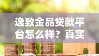 逸致金品贷款平台怎么样？真实测评与使用攻略