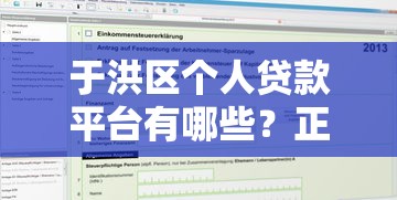 于洪区个人贷款平台有哪些？正规渠道及申请攻略