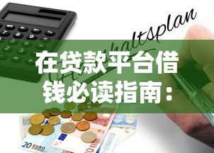 在贷款平台借钱必读指南：流程、风险与注意事项全解析