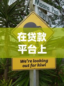 在贷款平台上申请贷款可靠吗？这几点必须注意