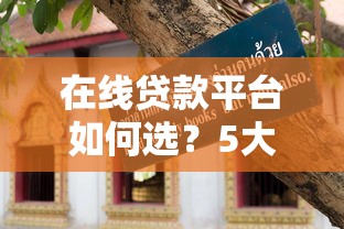 在线贷款平台如何选？5大避坑指南+3个靠谱技巧全解析