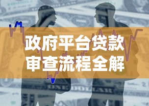 政府平台贷款审查流程全解析：申请到放款的关键步骤