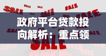 政府平台贷款投向解析：重点领域与政策方向