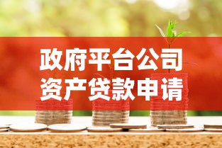 政府平台公司资产贷款申请指南：条件、流程与风险解析