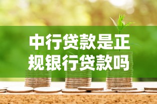 中行贷款是正规银行贷款吗？产品类型与申请流程详解