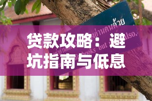贷款攻略：避坑指南与低息方案全解析