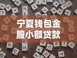 宁夏钱包金服小额贷款靠谱吗？深度解析正规贷款服务流程