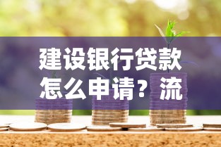 建设银行贷款怎么申请？流程条件+产品类型一文读懂