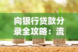 向银行贷款分录全攻略：流程解析与材料准备技巧