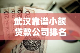 武汉靠谱小额贷款公司排名大揭秘，哪些机构值得信赖？