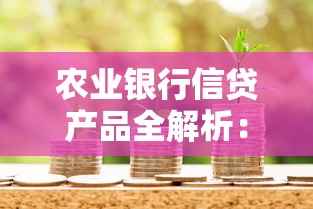 农业银行信贷产品全解析：如何快速申请低息贷款？