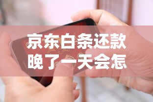京东白条还款晚了一天会怎样？影响与补救办法全解析