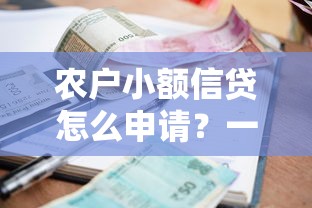 农户小额信贷怎么申请？一文看懂条件、流程与政策优惠！