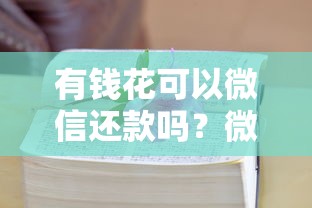 有钱花可以微信还款吗？微信支付还款详细解答