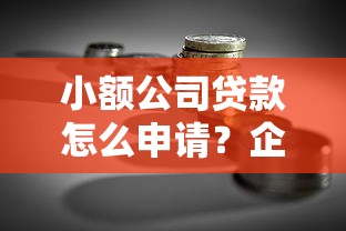 小额公司贷款怎么申请？企业主必看的低门槛融资攻略