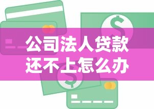 公司法人贷款还不上怎么办？债务处理思路与法律风险详解