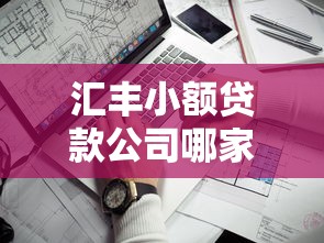 汇丰小额贷款公司哪家靠谱？小额贷款申请条件与避坑指南