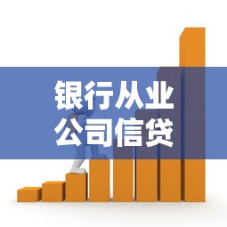 银行从业公司信贷全攻略：贷款申请流程与核心要点解析