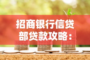 招商银行信贷部贷款攻略：低利率申请技巧与灵活还款方案解析