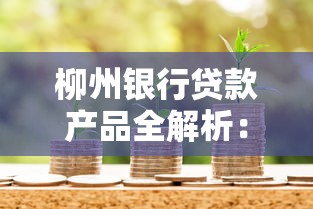 柳州银行贷款产品全解析：申请条件、流程及常见问题