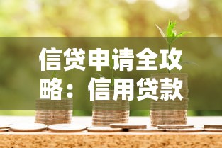 信贷申请全攻略：信用贷款避坑技巧与实战解析
