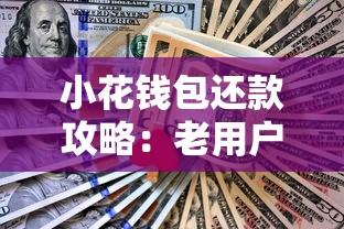 小花钱包还款攻略：老用户亲测有效的省钱技巧分享