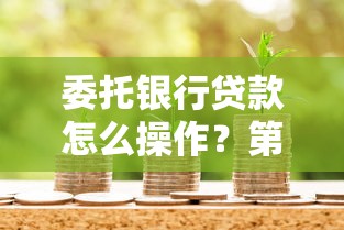 委托银行贷款怎么操作？第三方机构贷款全流程解析
