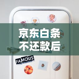 京东白条不还款后果有多严重？这些影响你必须知道