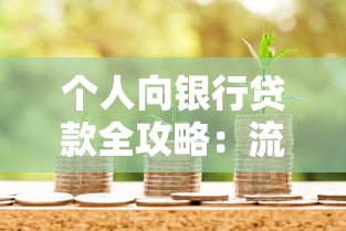 个人向银行贷款全攻略:流程、条件与利率政策解析 个人向银行贷款全攻略:流程、条件与利率政策解析