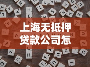 上海无抵押贷款公司怎么选？靠谱正规机构挑选技巧全解析