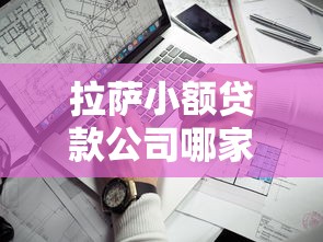 拉萨小额贷款公司哪家靠谱？手把手教你避坑选对平台