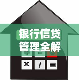 银行信贷管理全解析：贷款申请技巧与风险规避指南