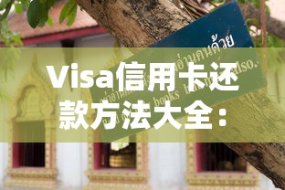 Visa信用卡还款方法大全：五种实用攻略与注意事项