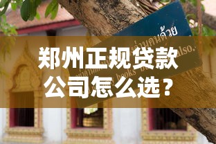 郑州正规贷款公司怎么选？手把手教你避坑指南