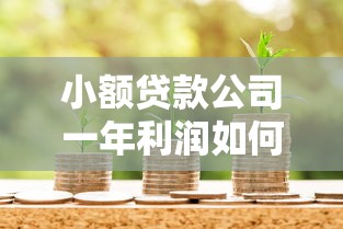 小额贷款公司一年利润如何？揭秘核心盈利模式与经营关键点