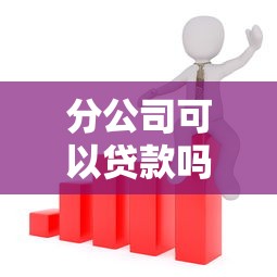 分公司可以贷款吗？分公司贷款条件与流程全解析