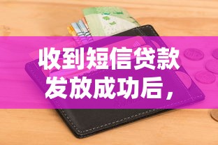 收到短信贷款发放成功后，必看的资金到账流程与常见问题解析