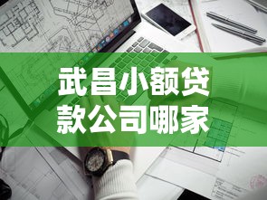 武昌小额贷款公司哪家靠谱？手把手教你避坑选对方案
