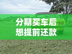 分期买车后想提前还款？这些坑千万别踩！