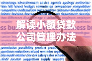 解读小额贷款公司管理办法细则：合规运营与风险防控全指南