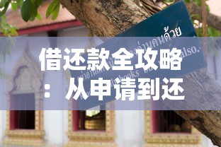 借还款全攻略：从申请到还清 这些技巧助你轻松避坑