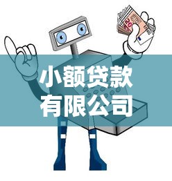 小额贷款有限公司如何选？5大避坑指南+真实案例解析