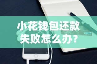 小花钱包还款失败怎么办？这些解决办法你一定要知道！