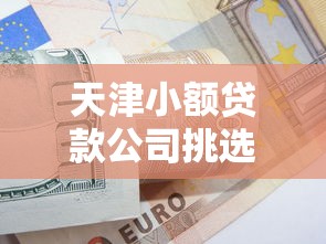 天津小额贷款公司挑选指南：避坑技巧与申请流程详解