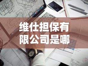维仕担保有限公司是哪家贷款平台？资质靠谱吗？