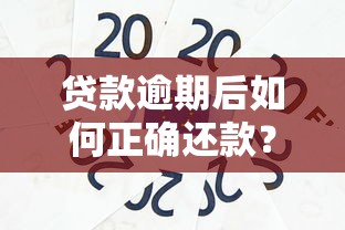 贷款逾期后如何正确还款？掌握这些方法避免信用受损
